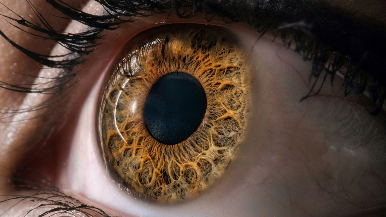 Science led insight